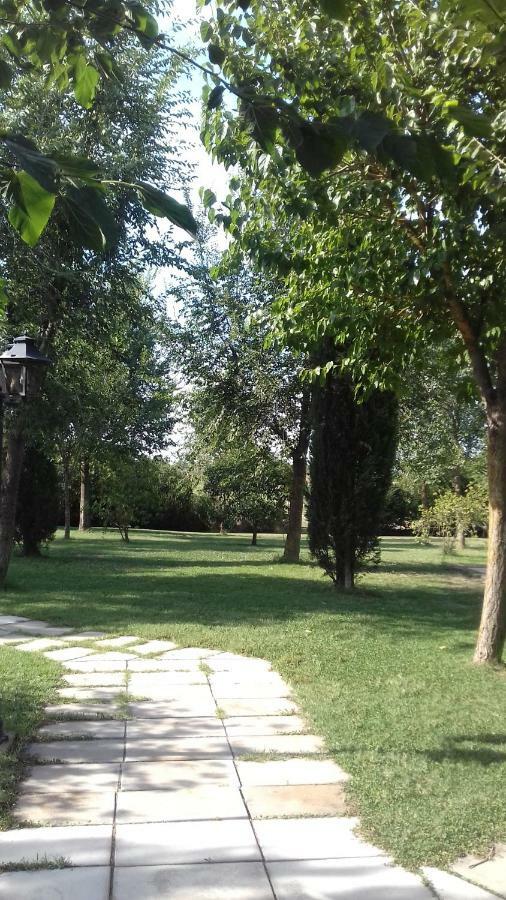 Le Tamerici Pension Principina Terra Buitenkant foto